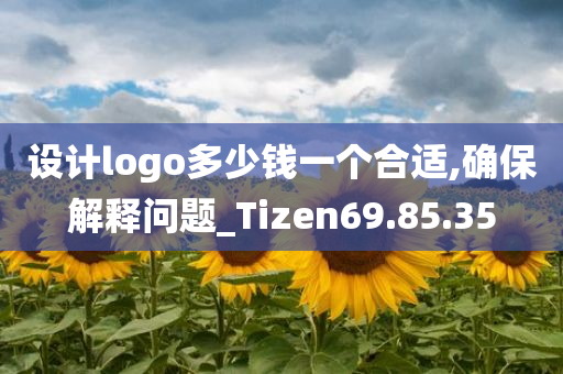 设计logo多少钱一个合适,确保解释问题_Tizen69.85.35