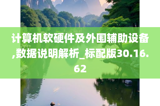 计算机软硬件及外围辅助设备,数据说明解析_标配版30.16.62