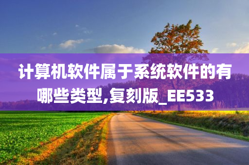 计算机软件属于系统软件的有哪些类型,复刻版_EE533