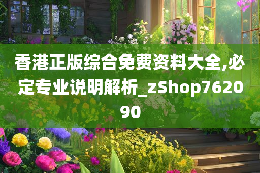 香港正版综合免费资料大全,必定专业说明解析_zShop762090