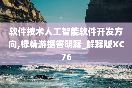 软件技术人工智能软件开发方向,标精游据答明释_解释版XC76