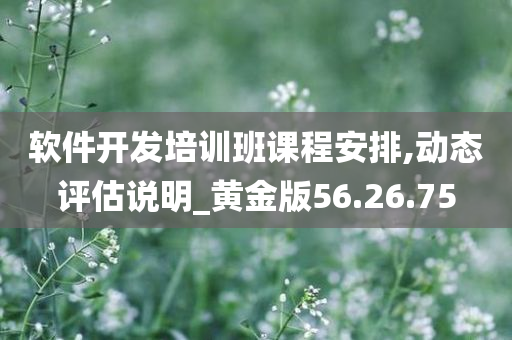 软件开发培训班课程安排,动态评估说明_黄金版56.26.75