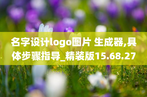 名字设计logo图片 生成器,具体步骤指导_精装版15.68.27