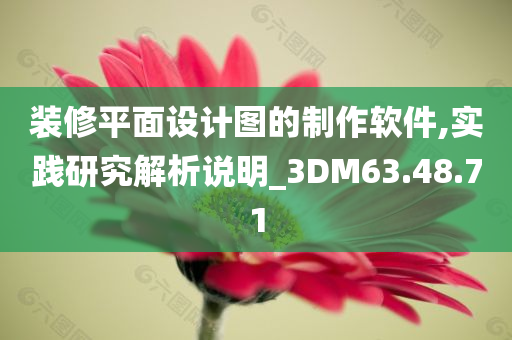 装修平面设计图的制作软件,实践研究解析说明_3DM63.48.71