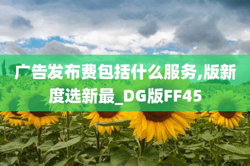 广告发布费包括什么服务,版新度选新最_DG版FF45