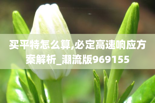 买平特怎么算,必定高速响应方案解析_潮流版969155