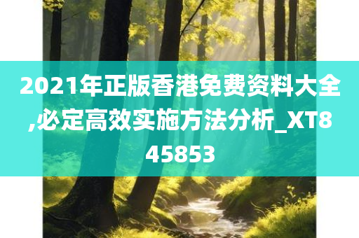 2021年正版香港免费资料大全,必定高效实施方法分析_XT845853