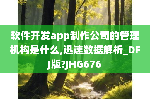 软件开发app制作公司的管理机构是什么,迅速数据解析_DFJ版?JHG676