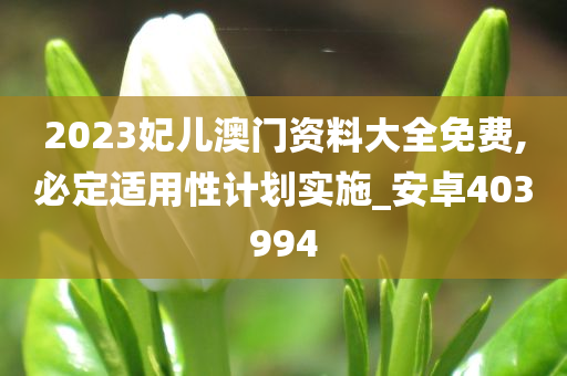 2023妃儿澳门资料大全免费,必定适用性计划实施_安卓403994