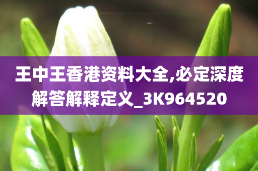 王中王香港资料大全,必定深度解答解释定义_3K964520