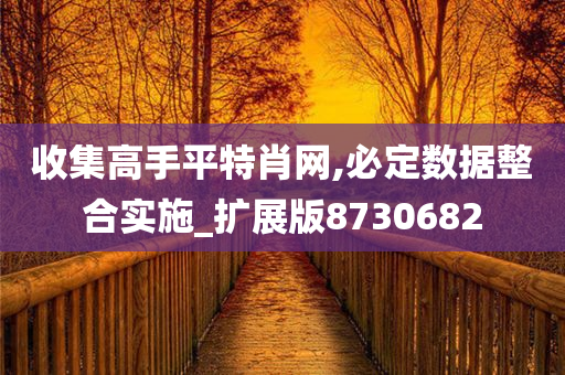 收集高手平特肖网,必定数据整合实施_扩展版8730682