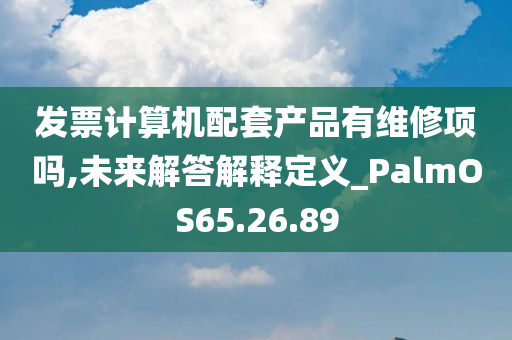 发票计算机配套产品有维修项吗,未来解答解释定义_PalmOS65.26.89