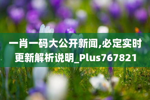 一肖一码大公开新闻,必定实时更新解析说明_Plus767821