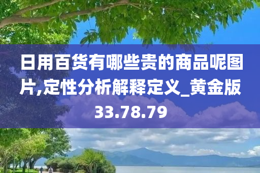 日用百货有哪些贵的商品呢图片,定性分析解释定义_黄金版33.78.79