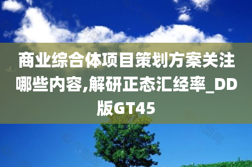 商业综合体项目策划方案关注哪些内容,解研正态汇经率_DD版GT45