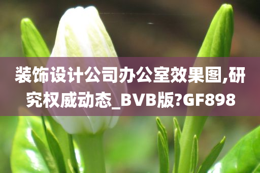 装饰设计公司办公室效果图,研究权威动态_BVB版?GF898