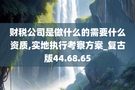 财税公司是做什么的需要什么资质,实地执行考察方案_复古版44.68.65