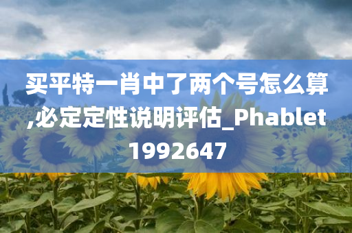 买平特一肖中了两个号怎么算,必定定性说明评估_Phablet1992647