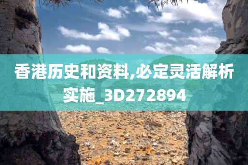 香港历史和资料,必定灵活解析实施_3D272894