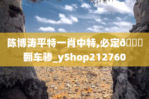 陈博涛平特一肖中特,必定🐎翻车骖_yShop212760