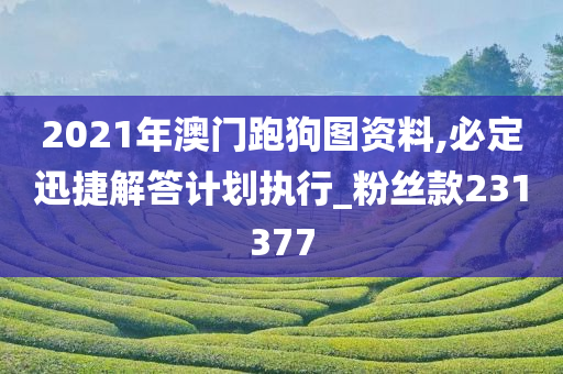 2021年澳门跑狗图资料,必定迅捷解答计划执行_粉丝款231377