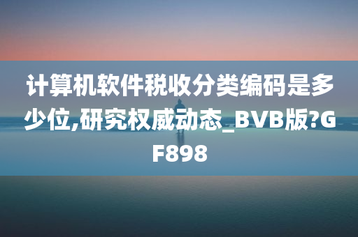 计算机软件税收分类编码是多少位,研究权威动态_BVB版?GF898