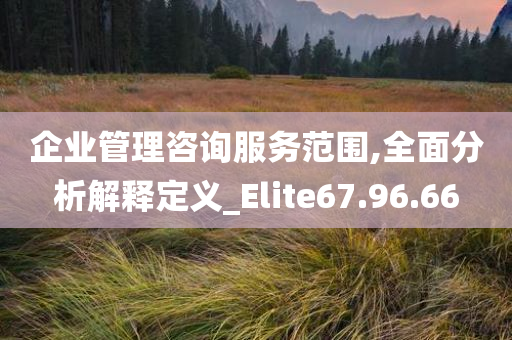 企业管理咨询服务范围,全面分析解释定义_Elite67.96.66