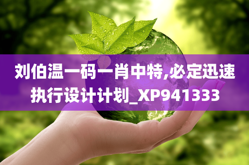 刘伯温一码一肖中特,必定迅速执行设计计划_XP941333