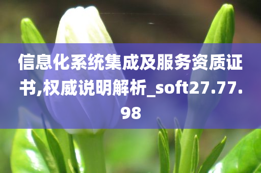 信息化系统集成及服务资质证书,权威说明解析_soft27.77.98