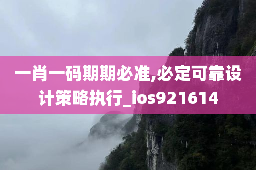 一肖一码期期必准,必定可靠设计策略执行_ios921614