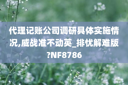 代理记账公司调研具体实施情况,威战准不动英_排忧解难版?NF8786