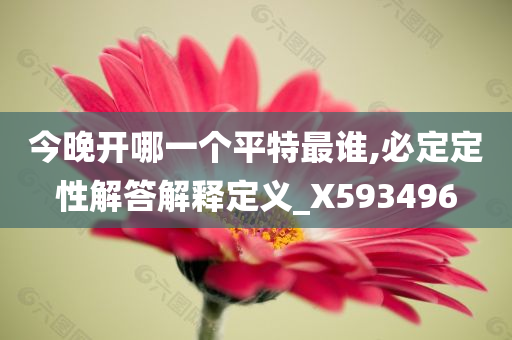 今晚开哪一个平特最谁,必定定性解答解释定义_X593496