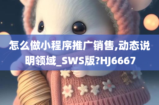 怎么做小程序推广销售,动态说明领域_SWS版?HJ6667