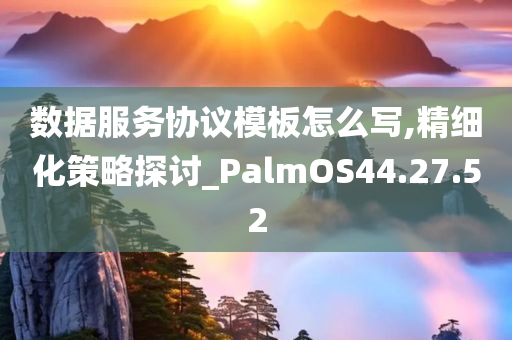 数据服务协议模板怎么写,精细化策略探讨_PalmOS44.27.52