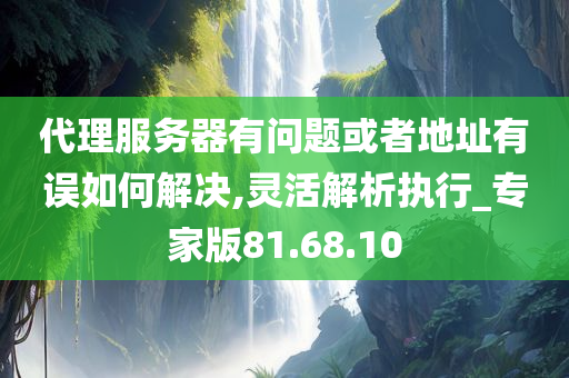 代理服务器有问题或者地址有误如何解决,灵活解析执行_专家版81.68.10