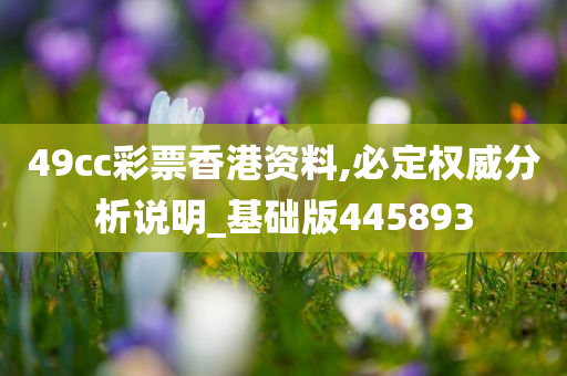 49cc彩票香港资料,必定权威分析说明_基础版445893