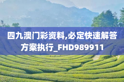 四九澳门彩资料,必定快速解答方案执行_FHD989911