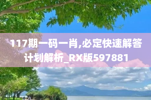 117期一码一肖,必定快速解答计划解析_RX版597881