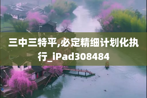 三中三特平,必定精细计划化执行_iPad308484