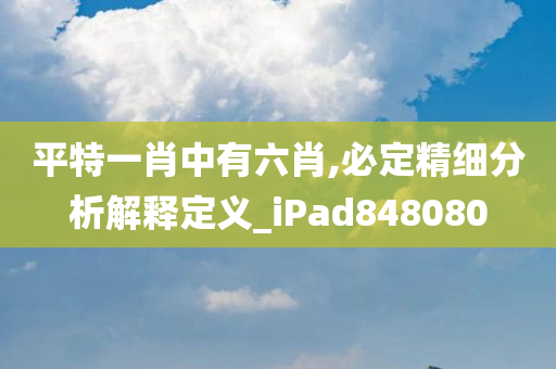 平特一肖中有六肖,必定精细分析解释定义_iPad848080