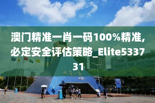 澳门精准一肖一码100%精准,必定安全评估策略_Elite533731