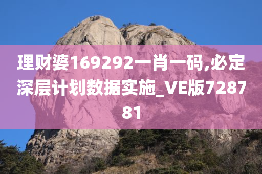 理财婆169292一肖一码,必定深层计划数据实施_VE版728781