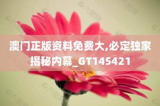 澳门正版资料免费大,必定独家揭秘内幕_GT145421