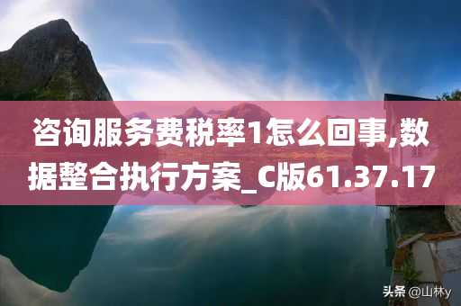 咨询服务费税率1怎么回事,数据整合执行方案_C版61.37.17