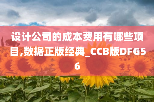 设计公司的成本费用有哪些项目,数据正版经典_CCB版DFG56