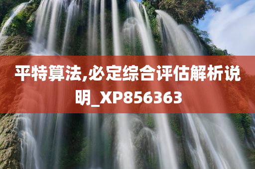 平特算法,必定综合评估解析说明_XP856363