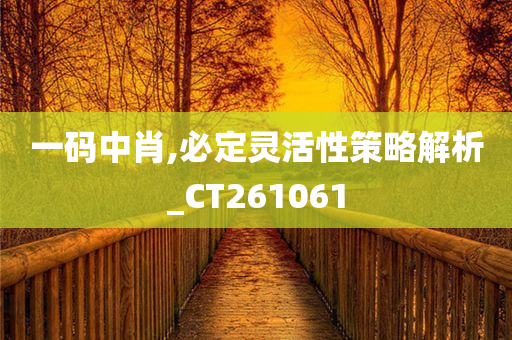 一码中肖,必定灵活性策略解析_CT261061