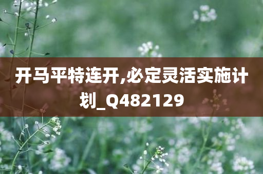 开马平特连开,必定灵活实施计划_Q482129