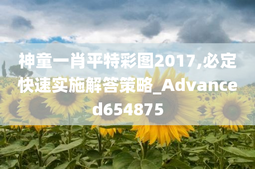 神童一肖平特彩图2017,必定快速实施解答策略_Advanced654875