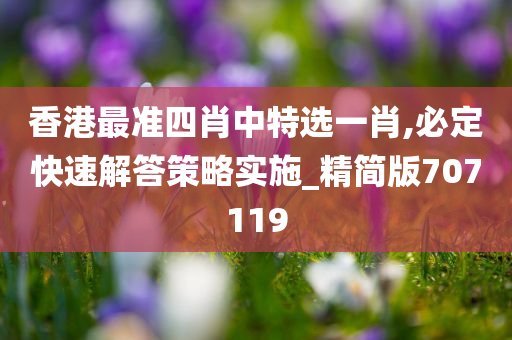 香港最准四肖中特选一肖,必定快速解答策略实施_精简版707119